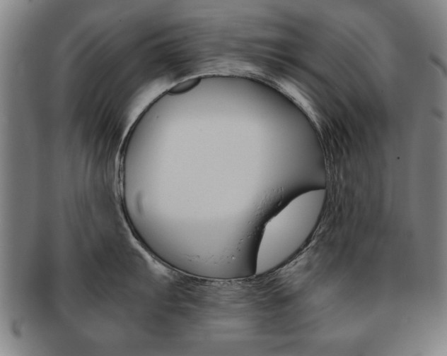X0000091651103200708231004