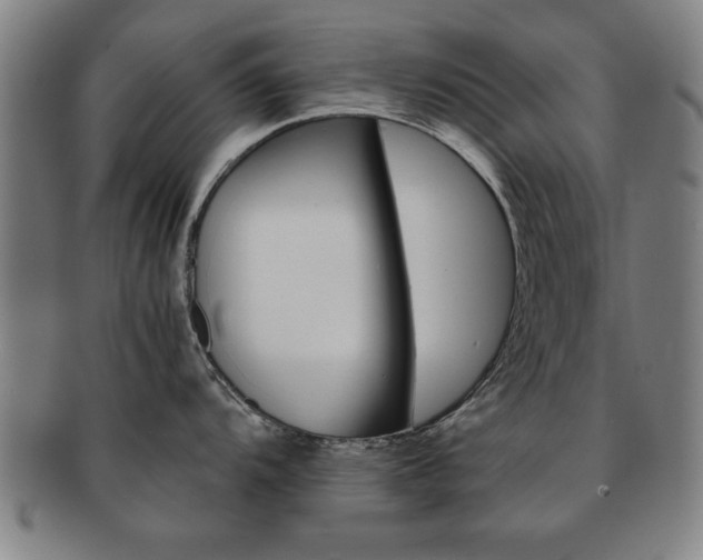 X0000091651104200708231004