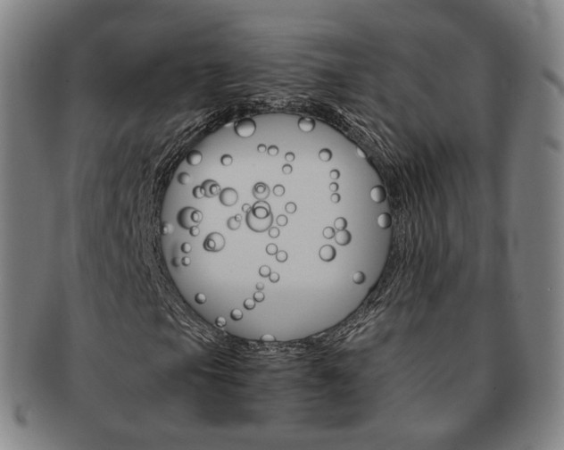 X0000091651105200708231004