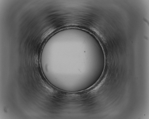 X0000091651113200708231004