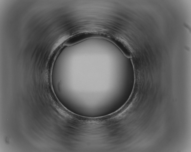 X0000091651114200708231004
