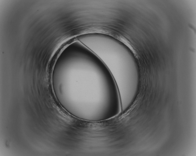 X0000091651116200708231004