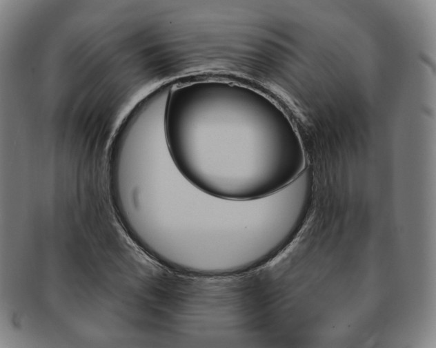 X0000091651118200708231004