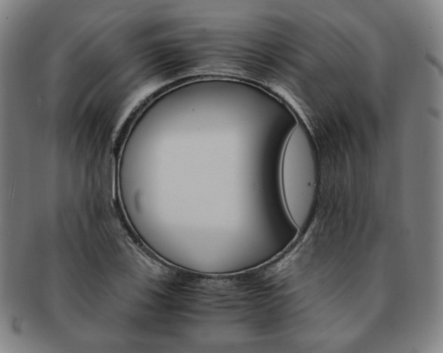 X0000091651123200708231004