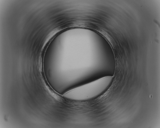 X0000091651131200708231004