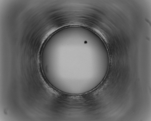 X0000091651133200708231004