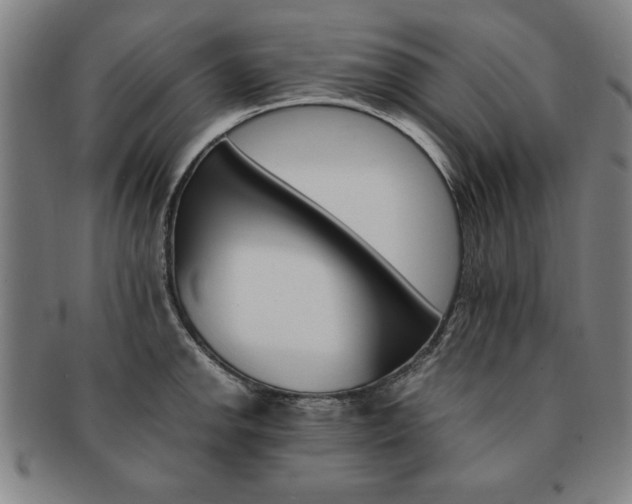 X0000091651142200708231004