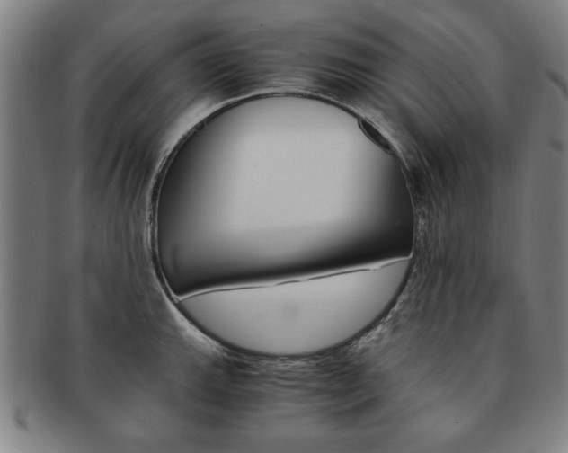 X0000091651143200708231004