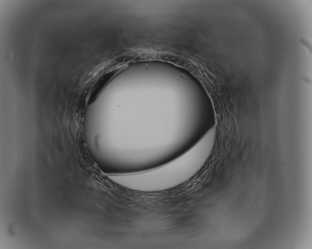 X0000091651157200708231004