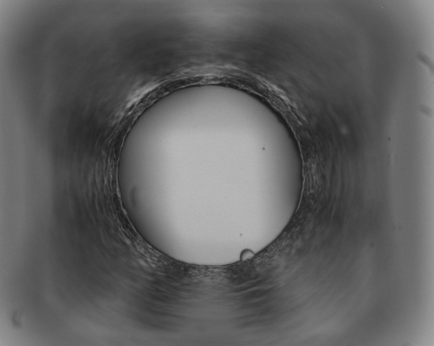 X0000091651158200708231004