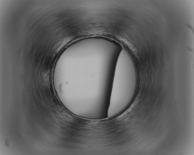 X0000091651162200708231004