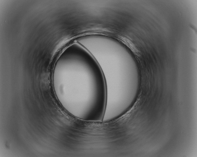 X0000091651164200708231004