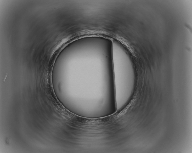X0000091651165200708231004