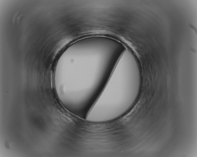 X0000091651171200708231003