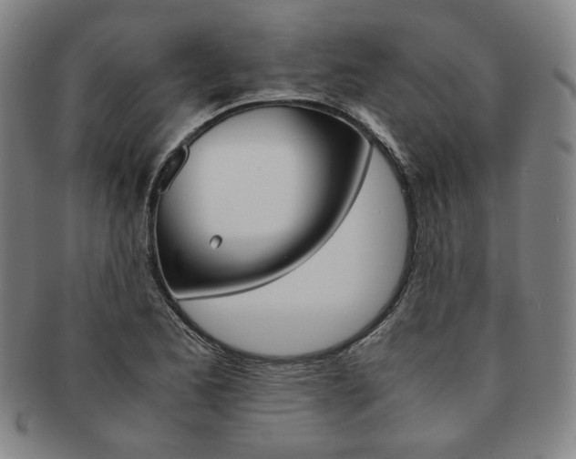 X0000091651173200708231003