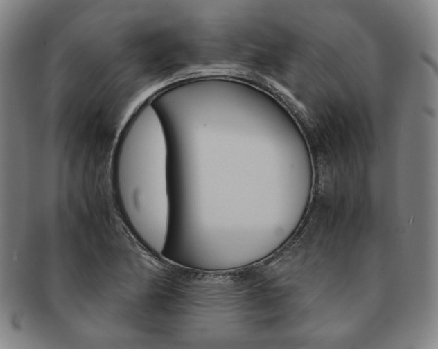 X0000091651174200708231003