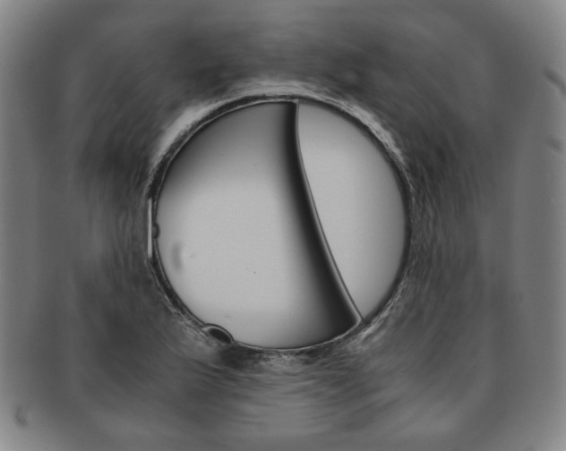 X0000091651175200708231003