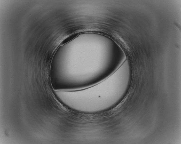 X0000091651177200708231003