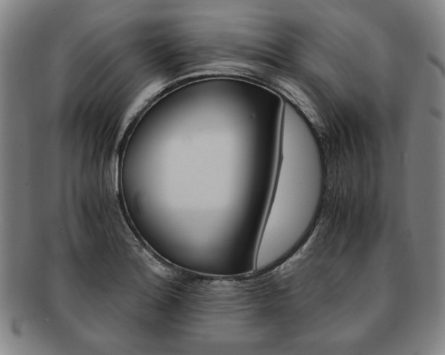 X0000091651180200708231003