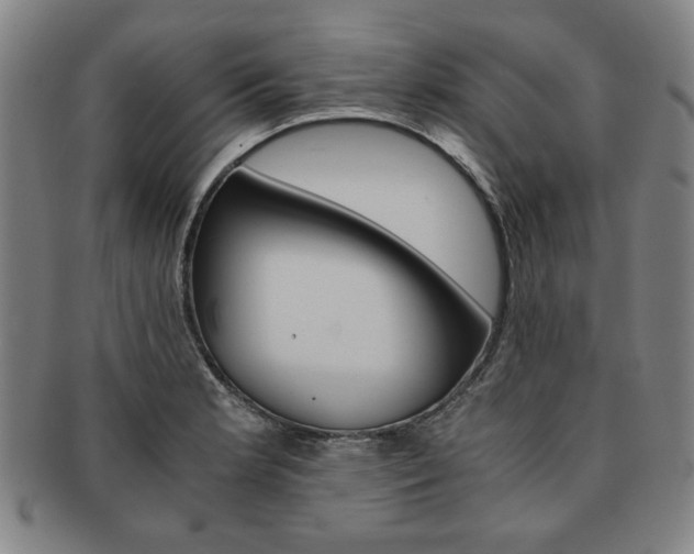 X0000091651181200708231003