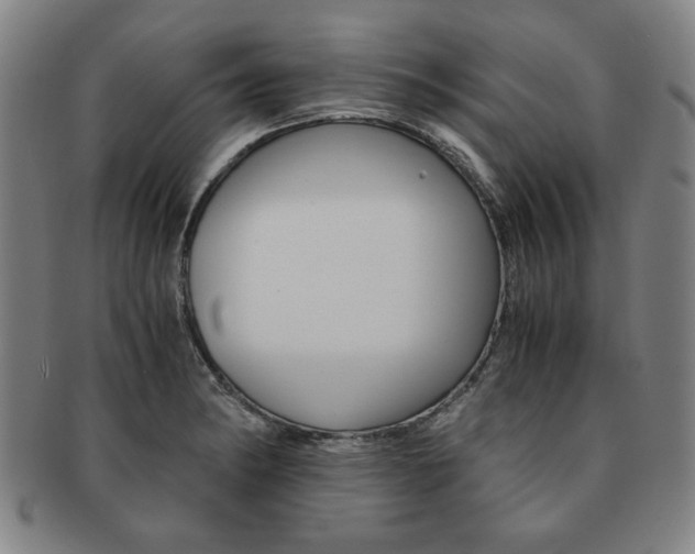 X0000091651182200708231003