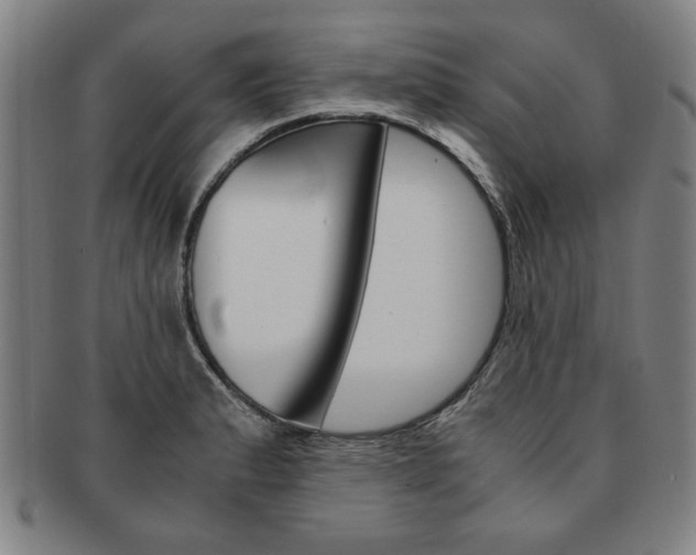 X0000091651183200708231003