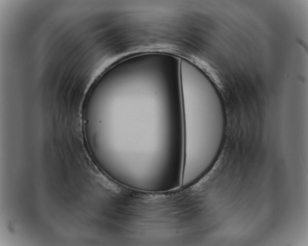 X0000091651184200708231003