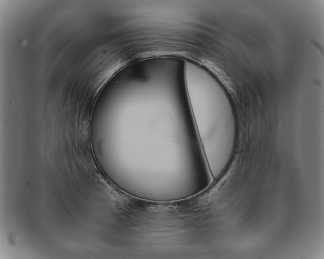 X0000091651185200708231003