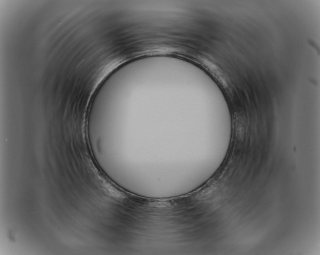 X0000091651186200708231003