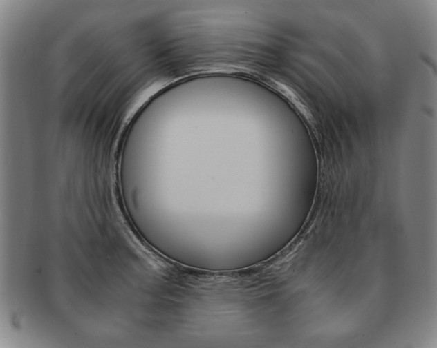 X0000091651187200708231003