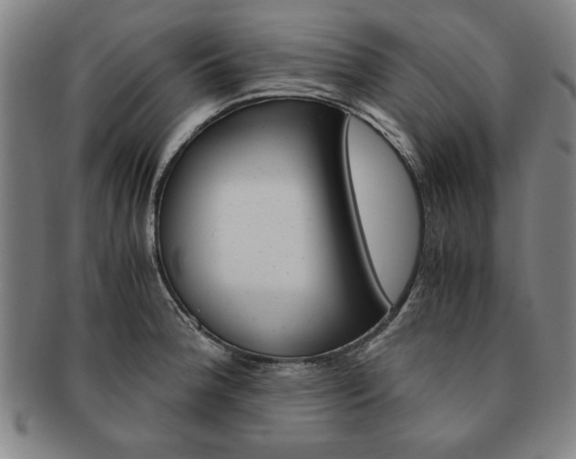 X0000091651188200708231003