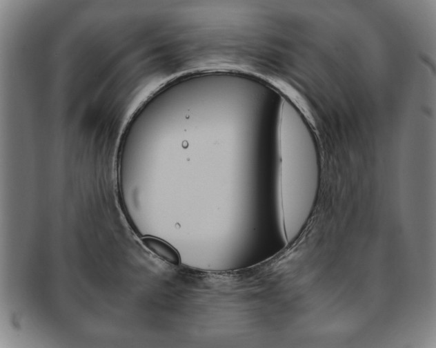 X0000091651191200708231003