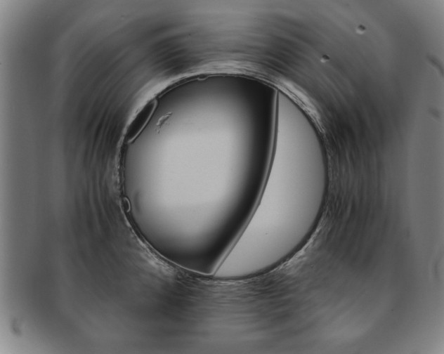 X0000091651192200708231003