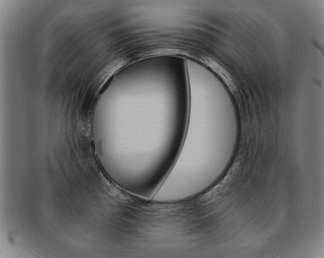 X0000091651193200708231003
