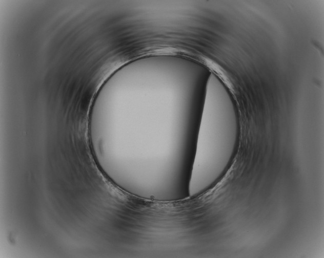 X0000091651194200708231003