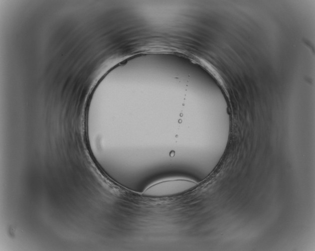 X0000091651195200708231003