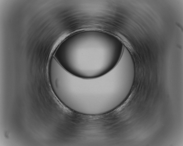 X0000091651196200708231003