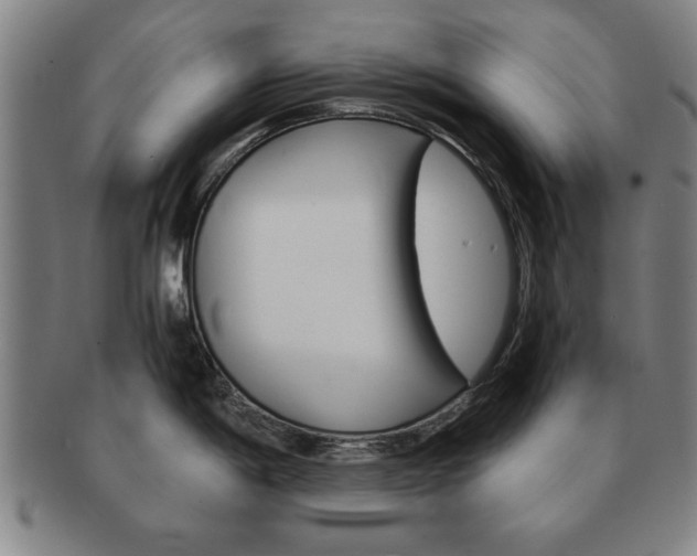 X0000091651198200708231003