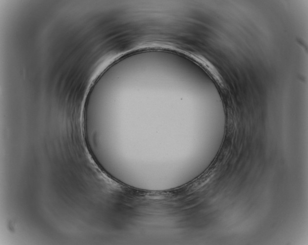 X0000091651199200708231003
