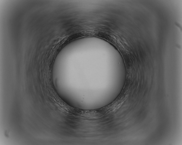 X0000091651201200708231002