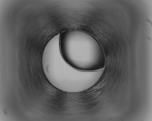X0000091651202200708231002
