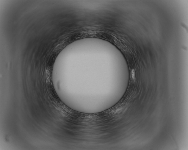 X0000091651203200708231002