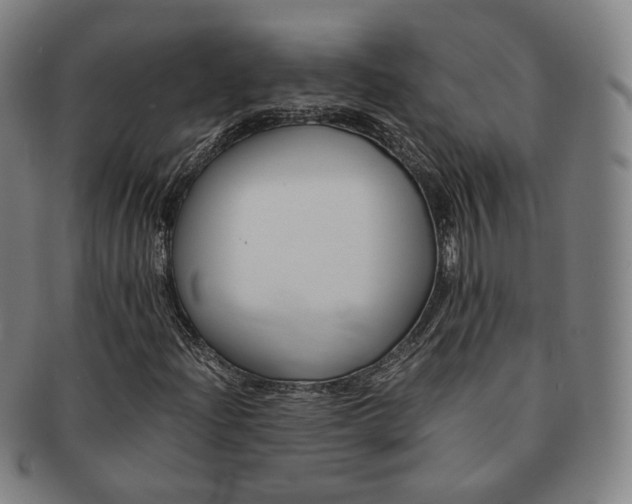 X0000091651204200708231002