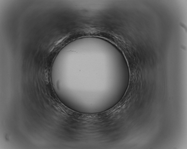 X0000091651205200708231002