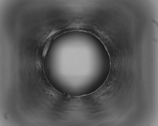 X0000091651206200708231003