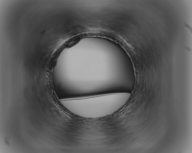X0000091651208200708231003