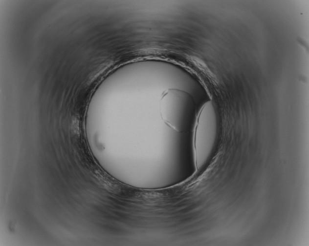 X0000091651209200708231003