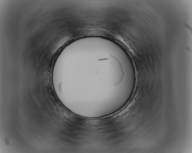 X0000091651211200708231003