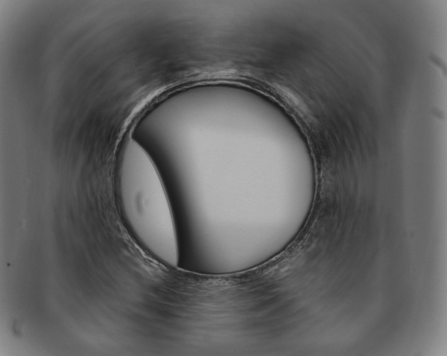 X0000091651212200708231003