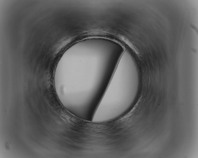 X0000091651213200708231003
